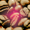 kikkyo: icon by snowbound_grfx @ livejournal (coffee beans)