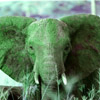 a1enzo: a greenish elephant (Cubefall '12)