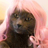 intertobamf: (wig cat)