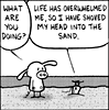 torberg: Rat and Pig sticking head in sand (PBS:HeadInSand)