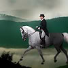 auburn: horse and rider proceeding from right to left (Dressage Rider)