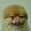 daniellau: (pic#367395)