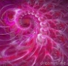 pink_spiral: (pink spiral)