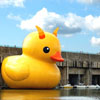 thethingwithfeathers: An actual giant rubber duck; by Dutch artist Florentin Hofman. Now with troll horns. (Default)
