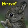 green_knight: (Bravo)