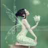 ms_bitch_to_you: (fairy w lily)