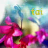 tai: blue-pink flowers with tai written in the top right corner (dreamwidth blue gradient)