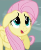 i_am_assertive: (Scared)