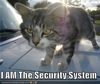 geekosaur: cat on car, face distorted by closeup as it pokes nose into camera lens; caption "I AM The Security System" (security)