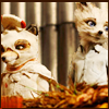 gloss: two young foxes looking away (Ash & Kristofferson)