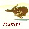 meri_oddities: Rabbit running (run rabbit - Lanning)