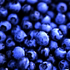 cleo: (Food: Blueberries)