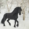 tumbleweeds: (☽ horse :: black)