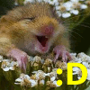 melissatreglia: (happy dormouse)