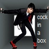 sherrold: Adam Lambert in a weird boxlike background; Text: cock in a box (cock in a box)