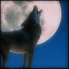 ishtar79: (random:wolf howling)
