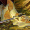 twowrens: sword & banner (book fan, contemplative)