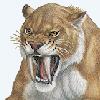 halialkers: Smilodon (saber-toothed cat) right side profile view. Mouth open, ears back (Meremi)
