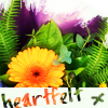 pensnest: Orange flowers with caption: heartfelt (Floral heartfelt)