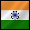 flora: Stylized Indian national flag (india)