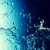 delphinapterus: water splash (Splash)
