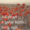 idlerat: A sepia-toned photo of a field of poppies; says, "all dead... a great battle, long ago." (All dead)