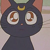 luna_cat: (Default)