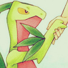 dawnofthefuture: (Grovyle | Let's work together.)