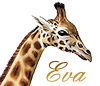 eefje00704: (Default)