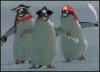 wrath_kun666: (Pirate Penguins)