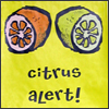 semielliptical: text: citrus alert! sliced orange and lemon (citrus alert)