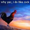 sherrold: beautiful picture of a rooster; text = why yes, I do like cock. (My official bisexuality icon) (yes I do like cock)