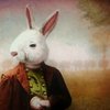 scaramouche: The White Rabbit from Alice in Wonderland (white rabbit is creepy)