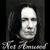 untonuggan: Severus Snape head shot, text reads "Not Amused" (Snape)