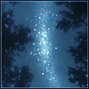 naye: a view of stars above a forest (stars above)