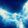 mizz_destiny: (HP: birds rising)