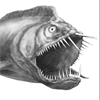 caddies: (eels)