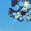 readbystarlight: (atlantis)