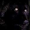liath: (mine - shadow)
