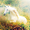 colorfulsock: (unicorn :: bright)