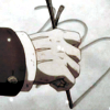 salix_nivalis: (Default)