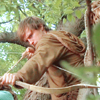 caputlupinum: ({bow} trapped in a tree)