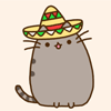 foundparadise: (pusheen- ain't nobody got time for that)