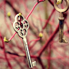 foundparadise: (keys in trees)