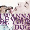 madder_rose: (john i wanna be your dog)