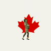 wcynic: (rock your body to canada day)