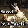 masterofmidgets: (save me captain weasel)