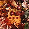starfish: autumn leaves & acorns & things (True Colors)