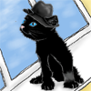 zeenell: (white collar neal kitty)