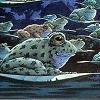 starfish: flying frogs on lilypads (Frog)